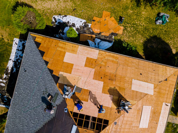 Best Roof Gutter Cleaning  in Ellisburg, NJ