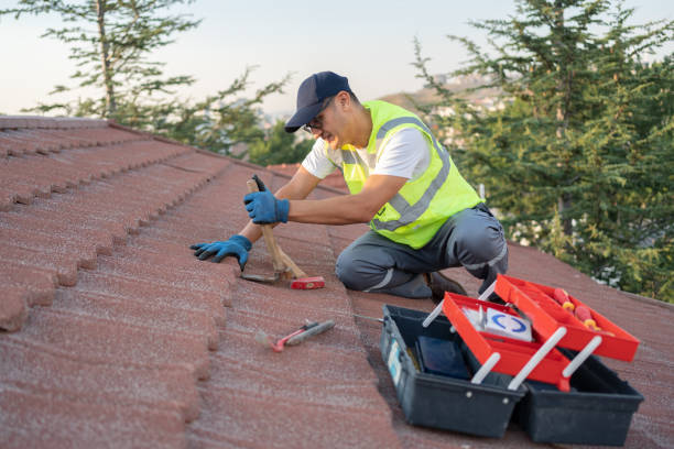 Best New Roof Installation  in Ellisburg, NJ
