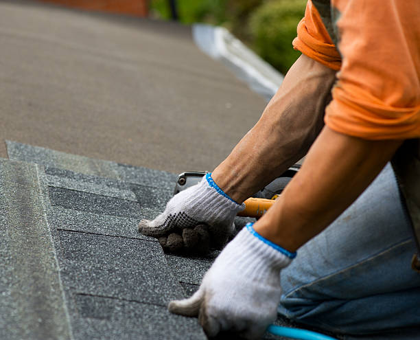 Best Roof Leak Repair  in Ellisburg, NJ